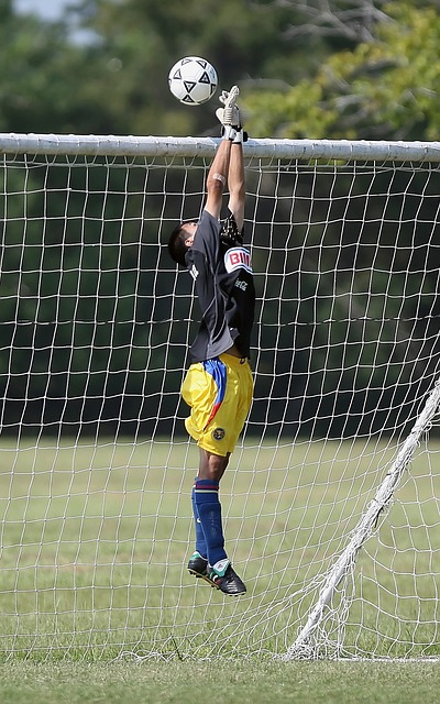 对于快船的 对于快船的